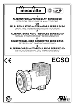 Mecc Alte Generator Wiring Diagram from www.meccalte.com