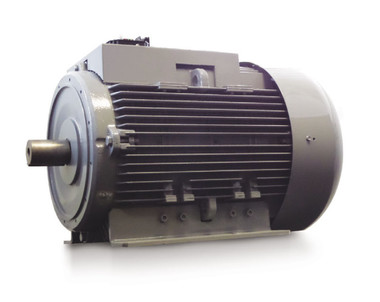 <p>Image of one of our totally enclosed alternators</p>